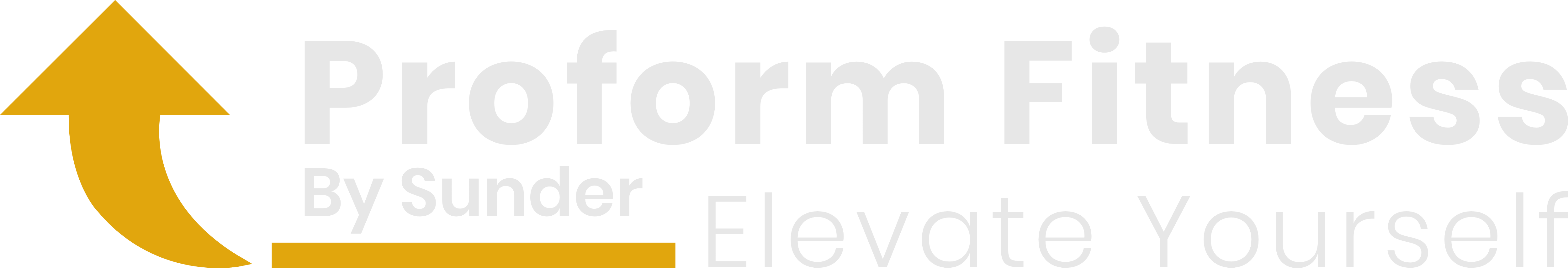 Pro Form Fitness
